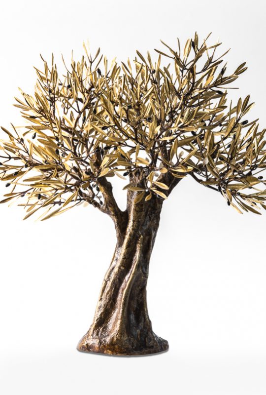 Olive tree large
